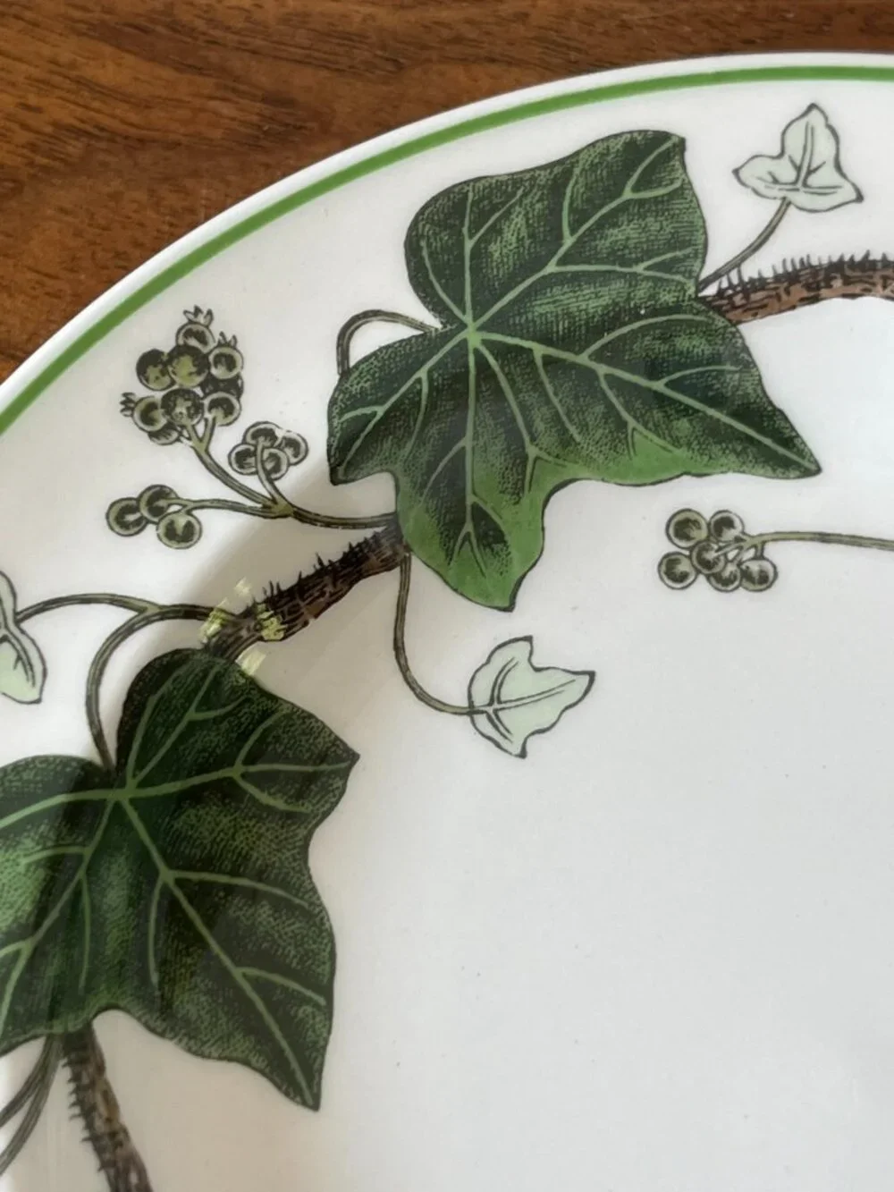 3 Vintage Wedgwood Napoleon Ivy 6
